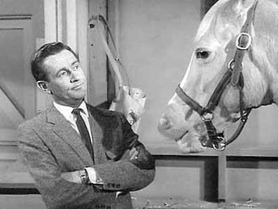 Mister Ed